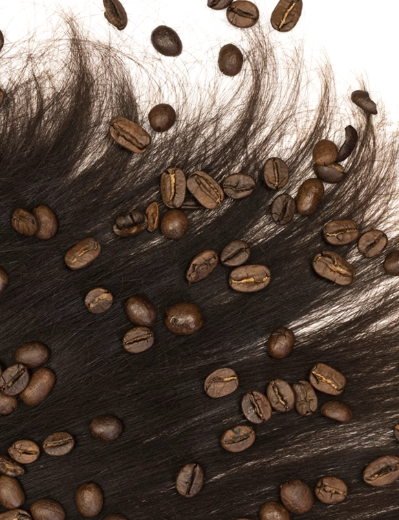 Close-up of dark brown hair scattered with whole roasted coffee beans, illustrating the rich, deep tones of espresso color highlighted in a stylistic and conceptual hair color presentation.